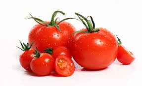 Tomato Paste